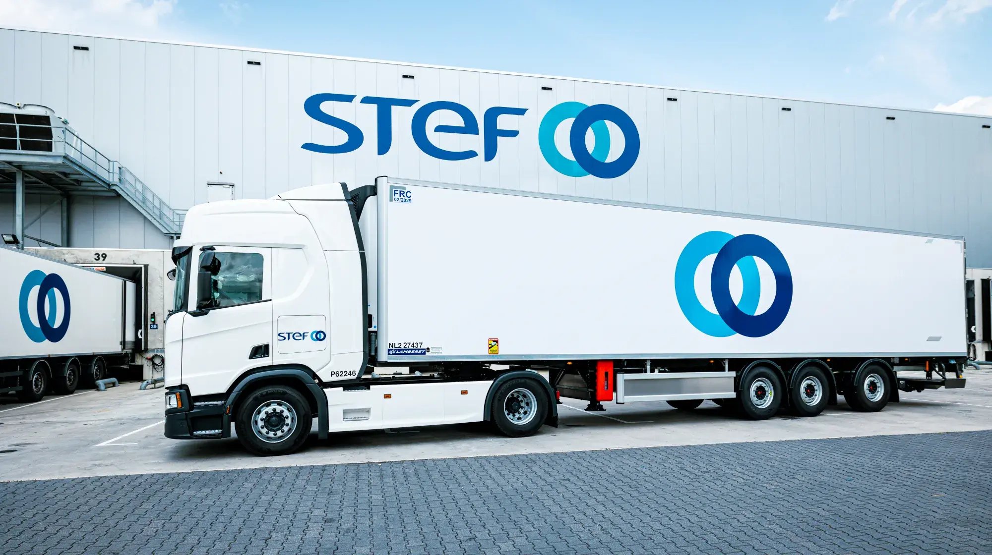 STEF