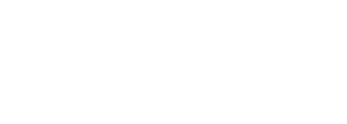 STEF_logo_blanc