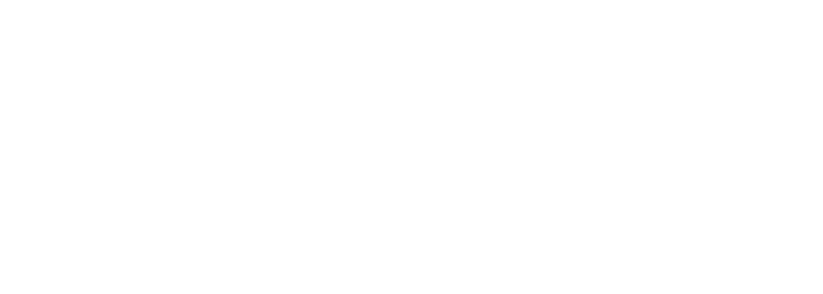 STEF_logo_blanc