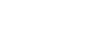 Haagen Dazs